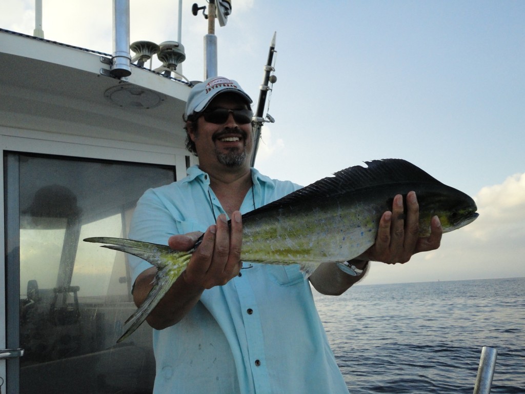 Llampuga pescada en el Delta del Ebro a cola de rata