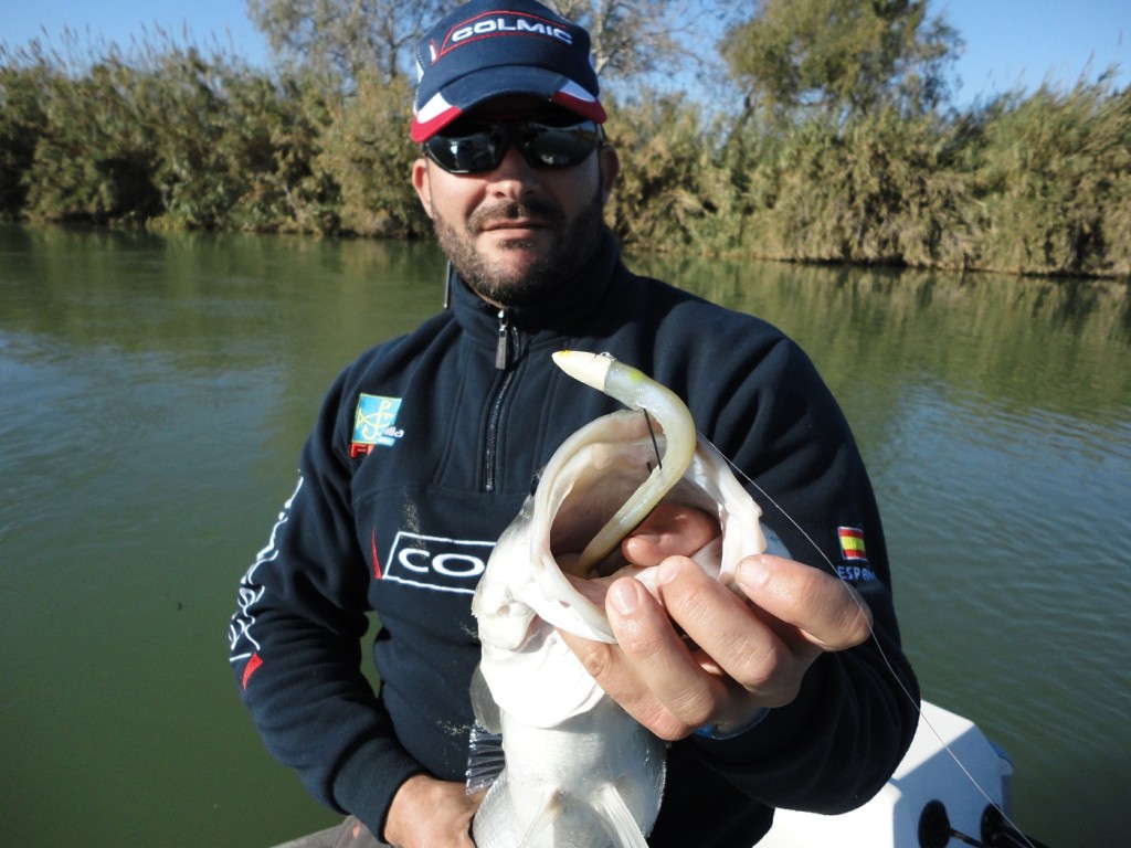 Detalle de vinilo para pescar lubinas en el Delta del Ebro