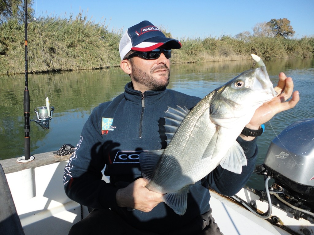 Lubina pescada a jigging en el Delta del Ebro